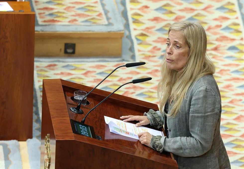 La consejera de Economía, Hacienda y Empleo de la Comunidad de Madrid, Rocío Albert, interviene durante una sesión plenaria en la Asamblea de Madrid.