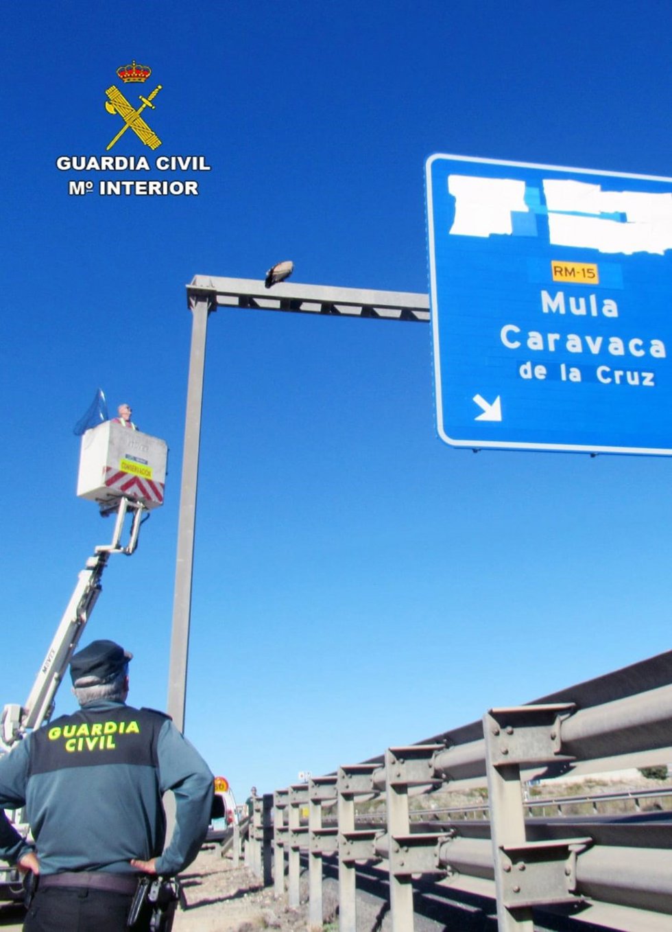 El buitre sobre el cartel de la A-30