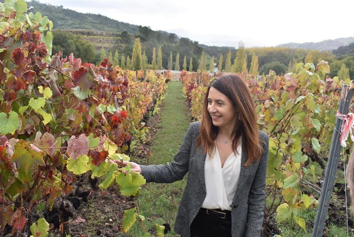 La conselleira do Medio Rural, María José Gómez