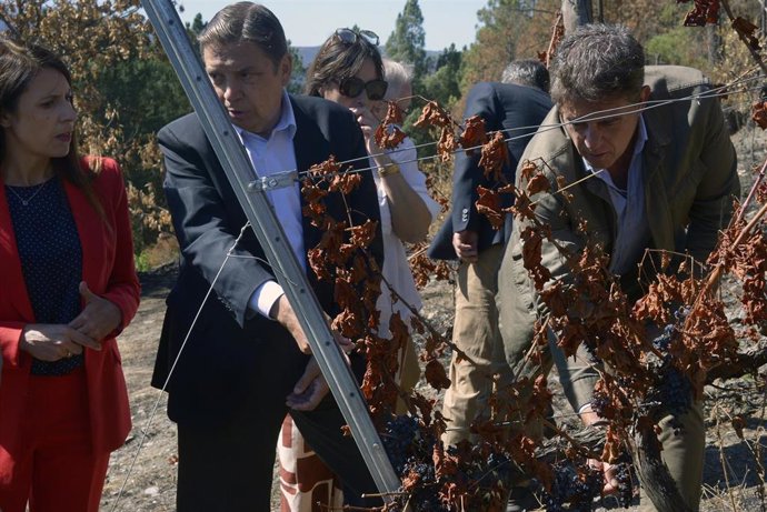 Archivo - El ministro de Agricultura, Pesca y Alimentación, Luis Planas (c), visita explotaciones de las zonas afectadas por los grandes incendios de este verano, en A Rúa, Ourense, Galicia (España). La visita de Planas pretende subrayar el compromiso del