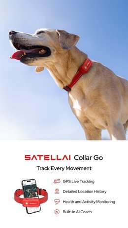 SATELLAI Collar Go