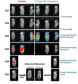 Images of control and 2nd Gen treatment condition mice using in vivo imaging system. Live imaging system was utilized to capture the tumor growth at various timepoints. The DC treated mouse showed absent signals of tumor at 5-week post dosing.