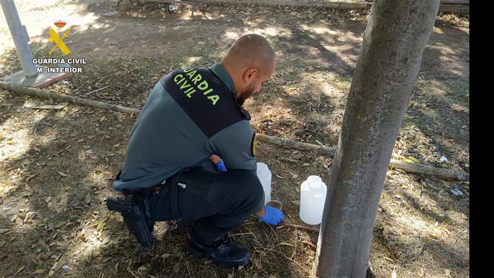 Maltrato animal en Villaluenga de la Sagra.