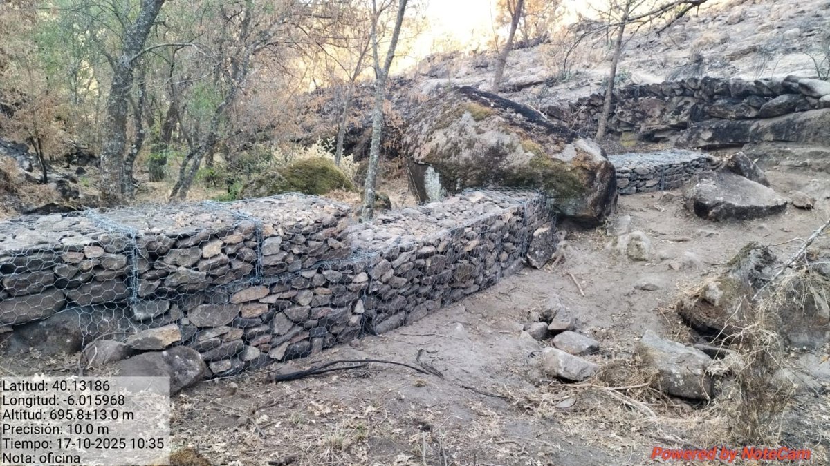 La actuaciones realizadas en la zona del incendio de Jarilla  retrasan y reducen  el arrastre de cenizas, según la Junta