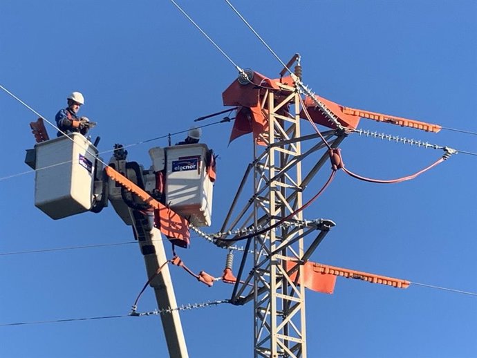 Trabajos en el sector eléctrico. Protección de la avifauna. Recurso.