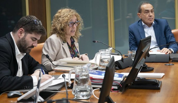 La consejera de Movilidad Sostenible , Susana García Chueca