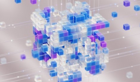 notibrasil sociedade