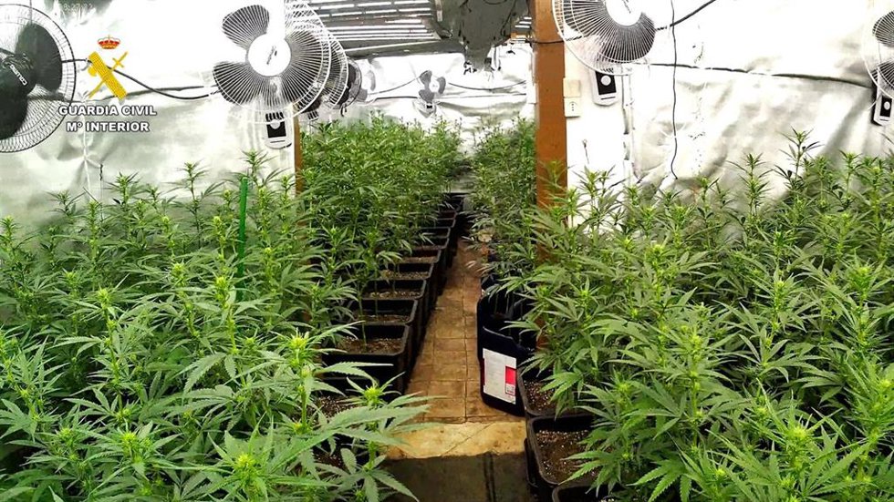 Plantación de marihuana desmantelada en una masía de Artés (Barcelona)