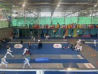 Podemos llama al boicot a Israel en la competición mundial de esgrima en Palma