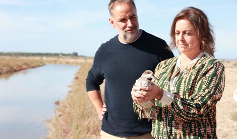 Es Andalucía - Cádiz