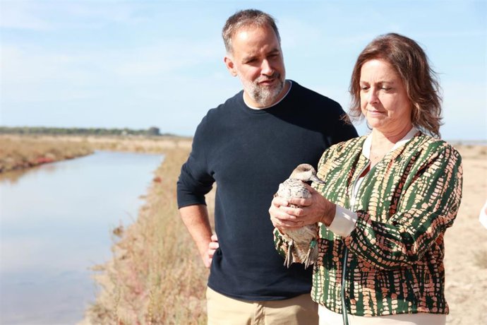 La consejera de Sostenibilidad y Medio Ambiente, Catalina García sostiene una cerceta pardilla antes de su liberación en las Marismas de Trebujena, junto al alcalde de esta localidad, Ramón Galán.