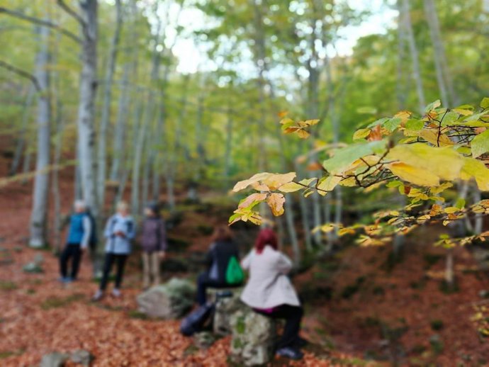 Sierra Cebollera en La Rioja