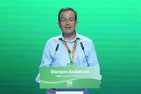 Tesorero del PP-A presume de "no deber nada a nadie": "Pagamos por transferencias, no con chistorras"