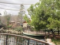 El Zoo de Córdoba cierra las pajareras y vacía estanques de aves ante un posible caso de gripe aviar