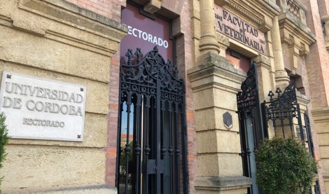 Es Andalucía - Córdoba