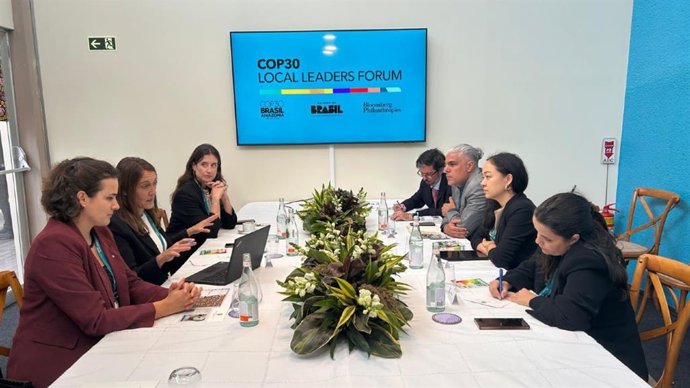 La directora general de Calidad Ambiental y Cambio Climático, Sonsoles Letang, en una de las sesiones en la COP30.