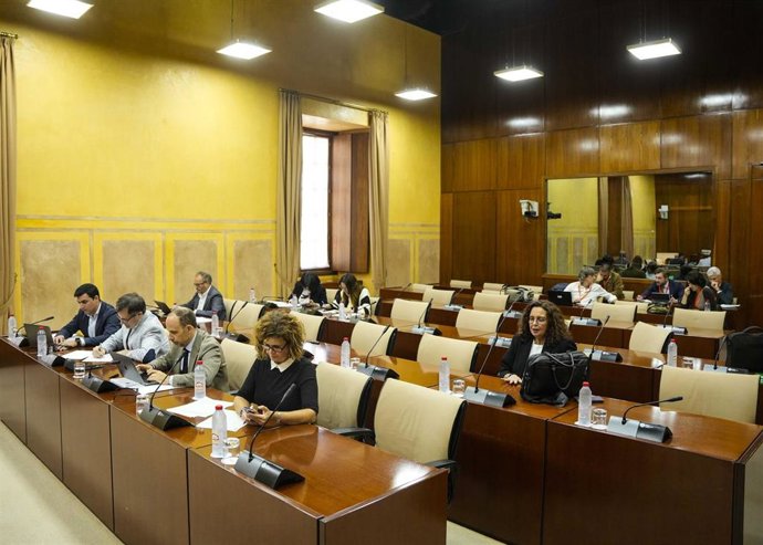 Diputados en la comisión de Universidad, Investigación e Innovación del Parlamento andaluz. (Foto de archivo).