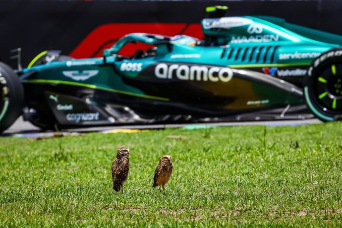 Fernando Alonso, Sao Paulo Grand Prix