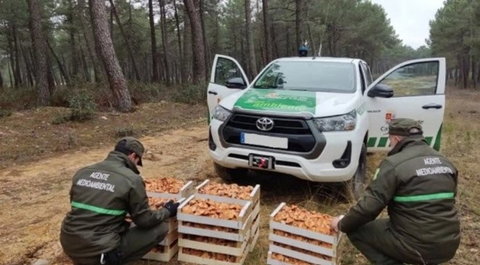 Agentes medioambientales de la Junta de CyL.