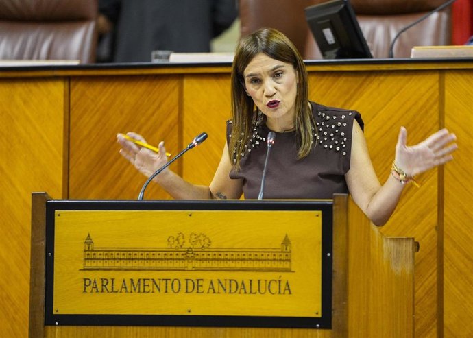 La diputada del PSOE-A Olga Manzano interviene en el Pleno del Parlamento andaluz. (Foto de archivo).