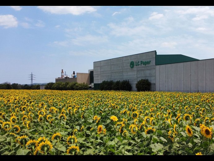 Empresa LC Paper