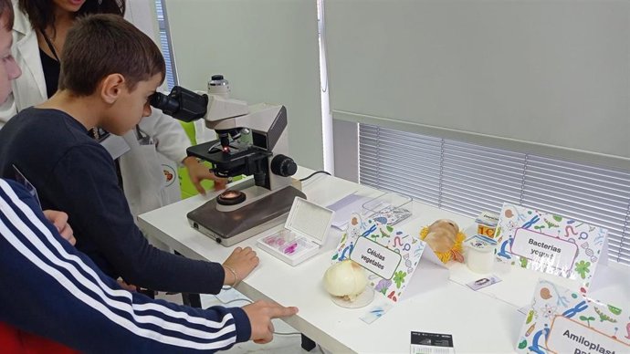 Participantes en la semana de la ciencia de la Universidad de Oviedo en una imagen de archivo.