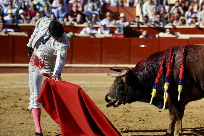 Novilleros compiten en la final de la Liga Nacional de Novilladas, a 19 de octubre de 2025 en Sanlúcar de Barrameda (Cádiz).  El consejero de Sanidad, Presidencia y Emergencias de la Junta de Andalucía, Antonio Sanz, ha asistido a la final de la Liga Naci