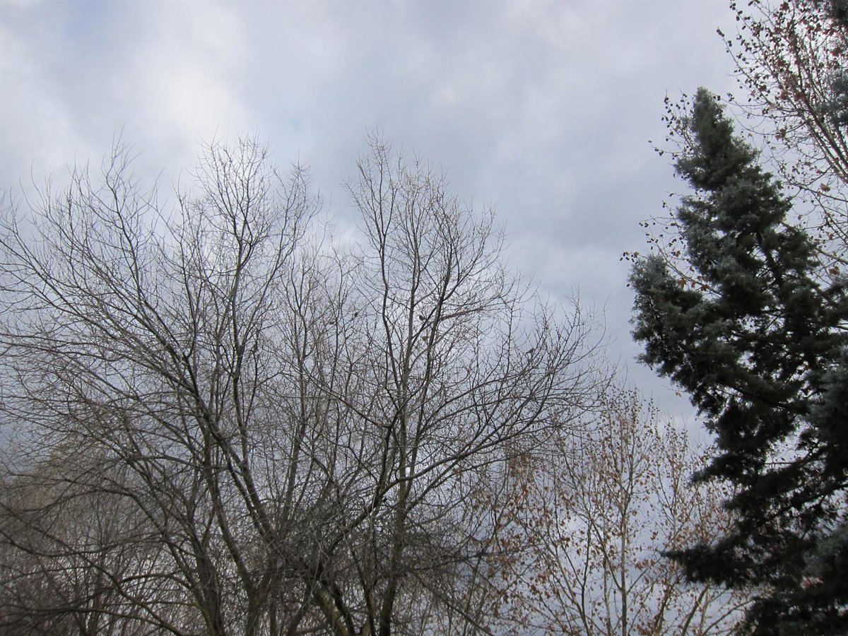 El tiempo en Extremadura para hoy lunes, 10 de noviembre de 2025