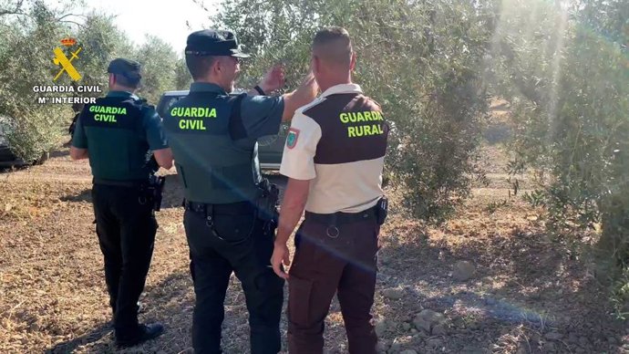 Agentes de la Guardia Civil en una plantación de olivos en Sevilla.