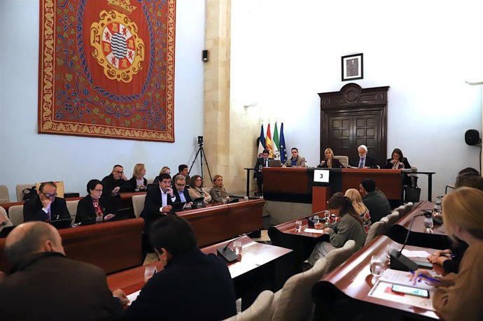 La alcaldesa de Jerez de la Frontera (Cádiz), María José García-Pelayo, preside el pleno extraordinario celebrado este lunes en el Ayuntamiento.