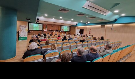 Es Andalucía - Cádiz