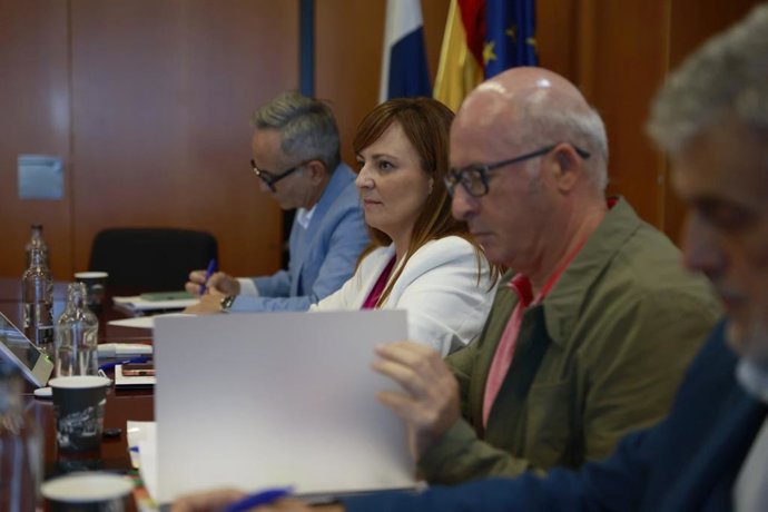 La consejera de Administración Públicas, Justicia y Seguridad del Gobierno de Canarias, Lady Barreto,  en una reunión de la comisión de memoria histórica