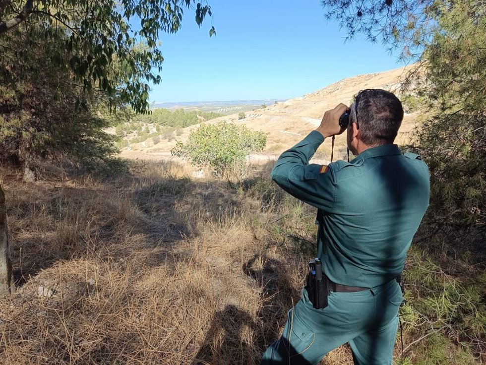 Archivo - Agente de la Guardia Civil en labores de vigilancia/Archivo