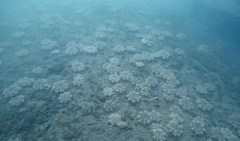 Es  Andalucía - Almería