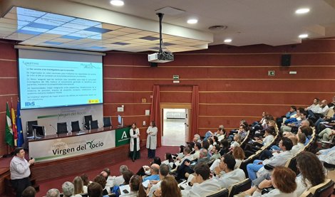 Es Andalucía - Sevilla