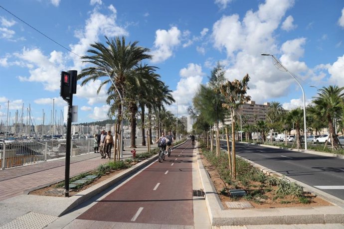 Un tramo del nuevo Paseo Marítimo de Palma.
