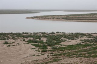 Archivo - Imágenes de archivo de las Marismas de Trebujena. A 17 de febrero de 2025 en Trebujena (Cádiz).