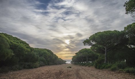 Es Andalucía - Cádiz