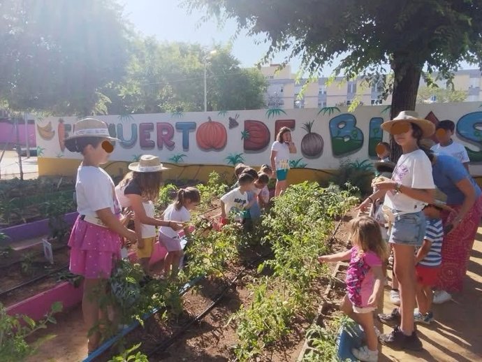 Proyectos escolares para fomentar la convivencia, la igualdad y la tradición local en Alcalá (Sevilla).