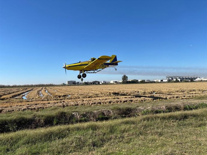 Tratamientos aéreos en el arrozal sevillano para controlar los mosquitos del virus del Nilo.