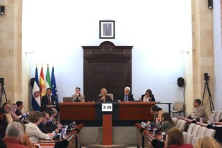 Pleno del Ayuntamiento de Jerez de la Frontera (Cádiz) celebrado este lunes en el Ayuntamiento.