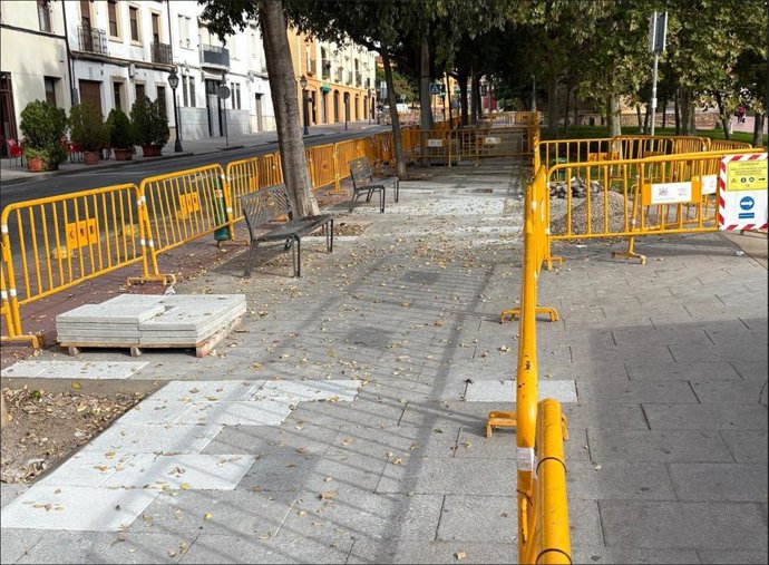 Intervención en el acerado del Paseo de la Ribera de Córdoba.