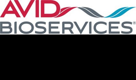 Comunicados Internacional