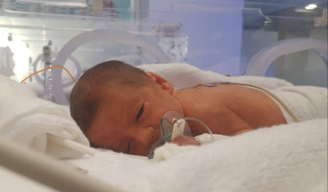 Comunicados Sociedad