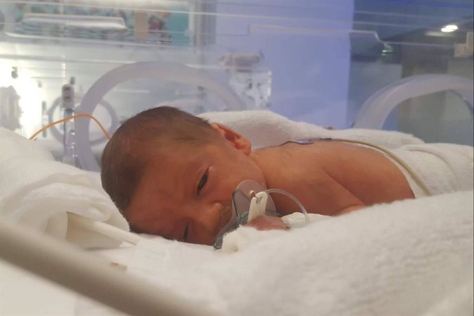 Día Mundial de la Prematuridad; detrás de cada bebé hay una familia que no se rinde