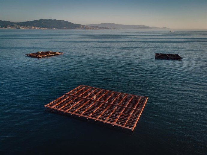 Archivo - Varias bateas para pescar mejillones, a 2 de septiembre, en Pontevedra, Galicia (España). La alta temperatura del agua, sin viento norte y el continuo desove del mejillón alarman a los 'bateeiros'. El sector explica que la concha tiene "un buen 