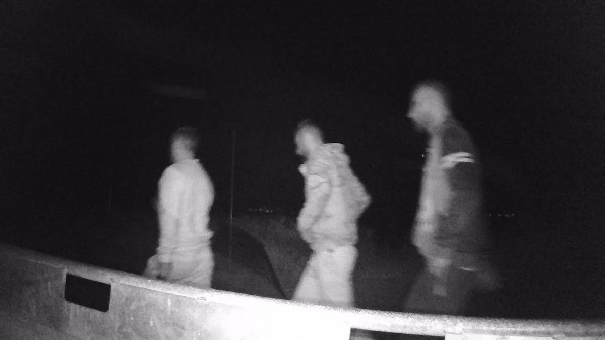 La Guardia Civil detiene a tres personas por el robo de 77 corderos en una explotación ganadera de La Rioja