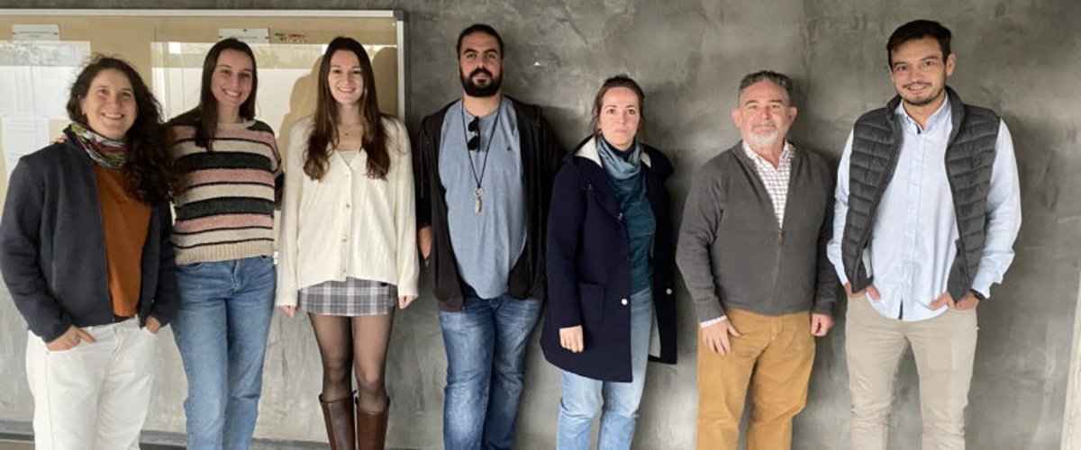 Una investigación de la UEx logra reducir la mortalidad invernal de las abejas