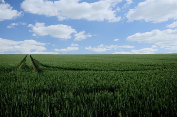 Agricultura abona el anticipo de la PAC más rápido de la historia, con más de 217 millones de euros.