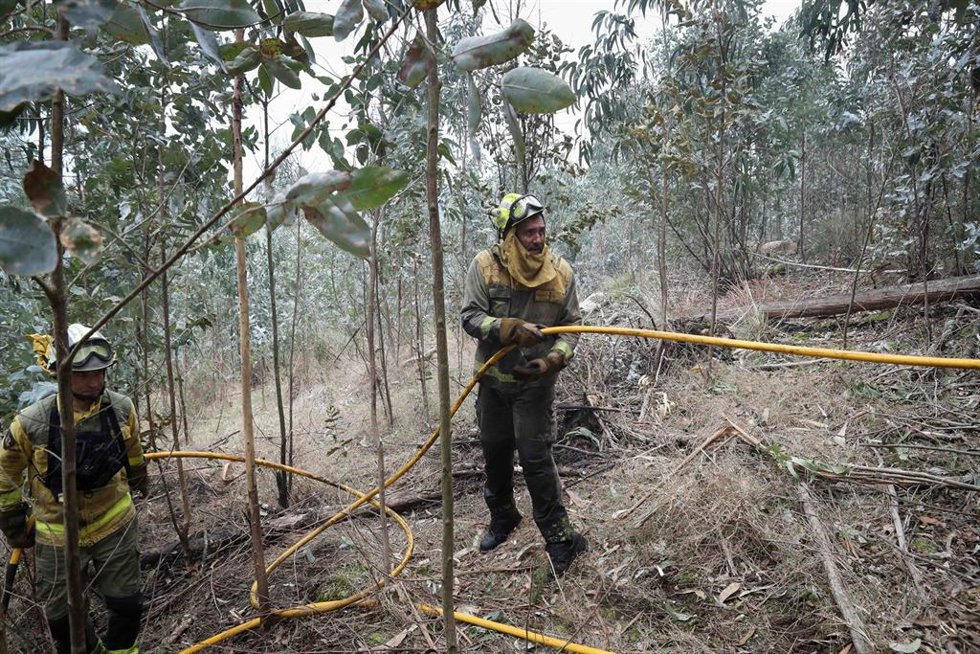 Bomberos trabajan en las tareas de extinción del incendio forestal en Cervo, a 5 de noviembre de 2025, en Cervo, Lugo, Galicia (España).